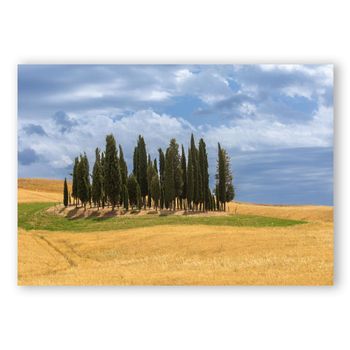 Impresión en lienzo - val d'orcia - cm. 70x100