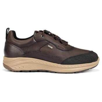Fluchos Zapatos Bajos F2294 marron para hombre