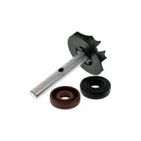 kit de servicio bomba de agua bmw f 650 -08
