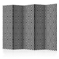 biombo - black and white hypnosis ii 225x172 cm