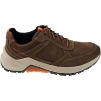 pius gabor deportivas moda 80021004 para hombre