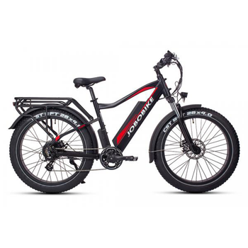 Bicicleta Eléctrica Fatbike Para Hombre Jobobike Robin, Motor Bafang De 250 W, Batería De 48 V Y 13 Ah, Negro