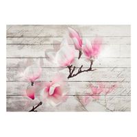 papel pintado 3d - gentleness of the magnolia 400x280 cm