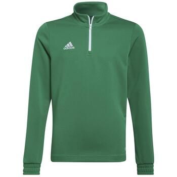 adidas Chaqueta deporte Entrada 22 para niño