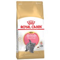 royal canin british shorthair kitten - economy pack 2 x 10kg