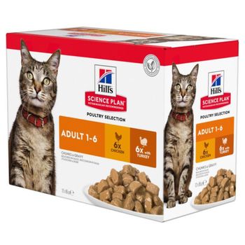 Hill's Science Plan Adult - Selección de aves (24 x 85 g) - Pack Ahorro