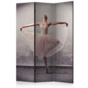 Biombo - Classical Dance - Poetry Without Words (135x172 Cm)