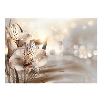 papel pintado 3d - princesses of the morning 250x175 cm