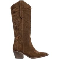 curiosite botines 2937 para mujer