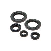 kit reten motor ktm duke 125 r -12 athena