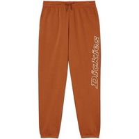 dickies pantalones dk0a4y3diex1 para hombre