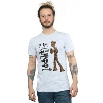 Marvel Camiseta I Am Teenage Groot para hombre