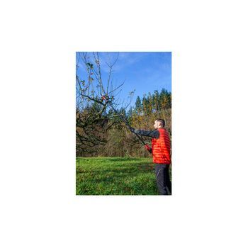Pertiga Telescopica 2 M Marca Altuna