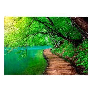 Papel Pintado 3d - Green Peace (350x245 Cm)