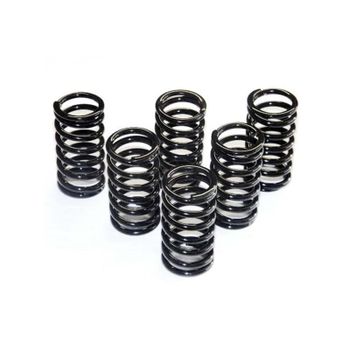 Muelle de embrague Ferodo FSS0304 kit