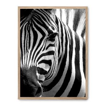 Cuadro Zebra Close Up
