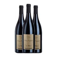 antoine sanzay vino tinto la paterne saumur-champigny 75 cl 135 vol pack de 3 unidades