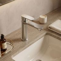 grifo de lavabo logan brush nickel low