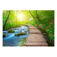 papel pintado 3d - green forest 350x245 cm