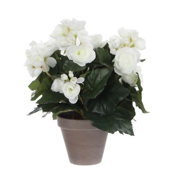 Planta artificial begonia blanco  h30xb25xl25cm