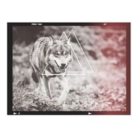 papel pintado 3d - lobo - fotografia 400x309 cm