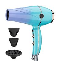 high-power professional ceramic salon hair dryer with diffuser and concentrator negative ionic blow dryer