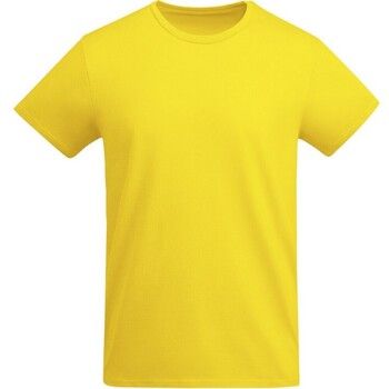 Roly Tops y Camisetas Breda para niño