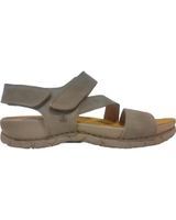 de el naturalista naturalista pleasant n5860 plume varios colores