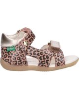 de kickers 696359-10 binsia-2 113 beige leopard