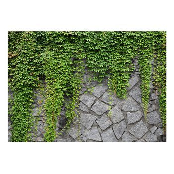 Papel Pintado 3d - Muro Verde (350x245 Cm)