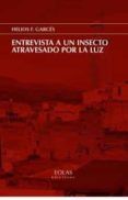 entrevista a un insecto atravesado por la luz