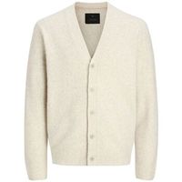 jack  jones chaqueta de punto 12289068 blasimon-silver lining para hombre