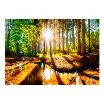 Papel Pintado 3d - Marvelous Forest (400x280 Cm)