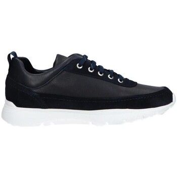 Panama Jack Zapatos Bajos JENSEN C2 para hombre