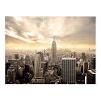 papel pintado 3d - nueva york - manhattan al amanecer 250x193 cm
