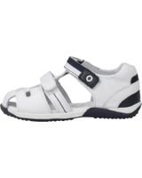 de chicco giglio blanco