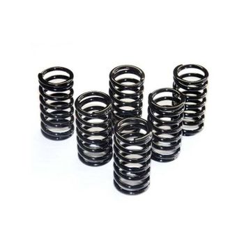 Muelle de embrague Ferodo FSS0106 kit