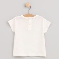 cotton fish camiseta 90705-child para nino
