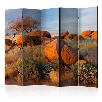 Biombo - African Landscape, Namibia Ii [room Dividers]