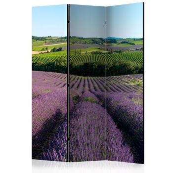 Biombo - Lavender Fields (135x172 Cm)
