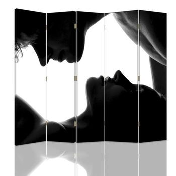 Biombo First Kiss - Separador De Ambientes Cm. 180x180 (5 Paneles)