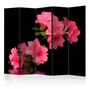 Biombo - Azalea In Black Ii (225x172 Cm)