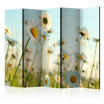 Biombo - Daisies - Spring Meadow Ii (225x172 Cm)