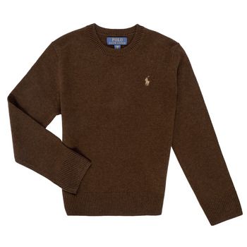 Polo Ralph Lauren Jersey LS CN TONAL-SWEATER-PULLOVER para niña
