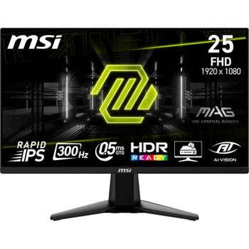 MSI MAG 255XF 24.5