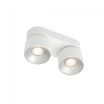 Regleta de techo pitcher (2 luces)