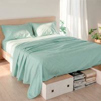 basic sabana menta
