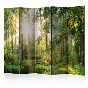 Biombo - Untamed Nature Ii (225x172 Cm)