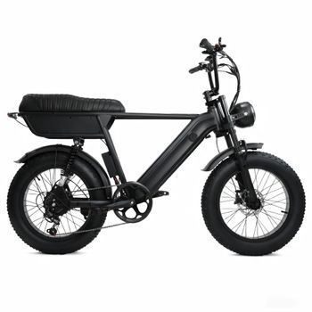 Bicicleta Eléctrica Yangor Y20 Plus De 20
