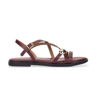 Wonders para mujer. AB-1823_941_1367 Sandalias de Piel Musa 23 Burdeos (39), Plano, Hebilla, Casual, Granate